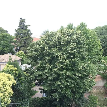 Le 10 Apartment